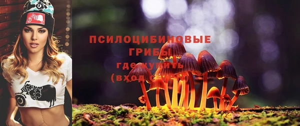гашиш Бородино